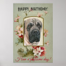 Search for greeting or posters Birthday