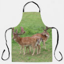 Search for wildlife aprons Forest