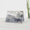 Search for spirit horse cards Equine