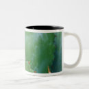 Search for agave mugs Plant
