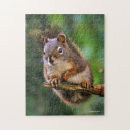 Search for red squirrel puzzles Tree