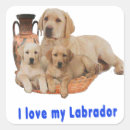 Search for labrador retriever puppy stickers Pets