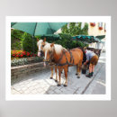 Search for horse drawn carriages posters Photographer