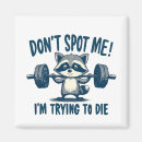 Search for racoon magnets Sarcastic