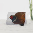 Search for pheasant cards Nature