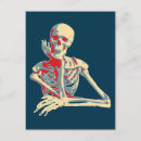 Search for smiling skull postcards Skeleton