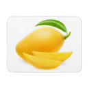 Search for mango magnets Yellow