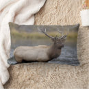 Search for elk cushions Wild