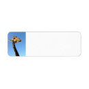 Search for attitude return address labels Humour