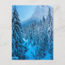 Search for pass postcards Pacific northwest