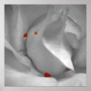 Search for selective colouring posters Closeup