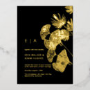 Search for gingko Ginkgo leaves