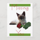 Search for rose love stamp postcards Flowers