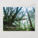 Search for welcome to class cards Back to school