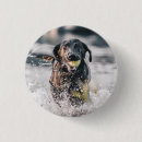 Search for play badges Dog