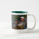 Search for mandarin mugs Duck