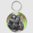 Search for chimpanzees key rings Apes