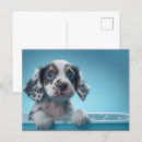 Search for bubble bath postcards Puppy