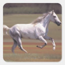 Search for horse running stickers Nature