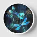 Search for dragonfly clocks Dragonflies