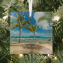 Search for coconut christmas tree decorations Coastline