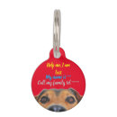 Search for help pet supplies Dogs