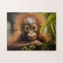 Search for orangutan puzzles Cute