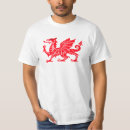 Search for welsh dragon Mediaeval