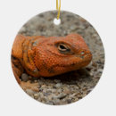 Search for red dragon christmas tree decorations Reptile