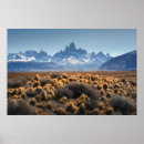 Search for patagonia posters Outdoors