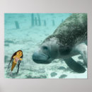 Search for manatee posters Sea