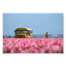 Search for magic school bus posters Pink