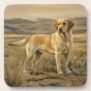 Search for labrador coasters Chocolate lab