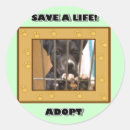 Search for humane society stickers Adopt