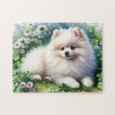 Search for pomeranian puzzles White