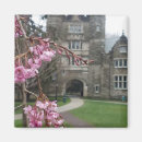 Search for springtime magnets Green