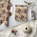 Search for humor wrapping paper Pet