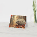 Search for pigs note cards Animals