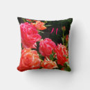 Search for red orange cushions Flowers