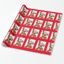 Search for christmas giraffe wrapping paper Santa claus
