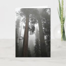 Search for giant cards Nature