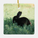 Search for black rabbit christmas tree decorations Bunny