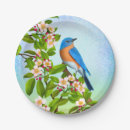 Search for bluebird plates Birds