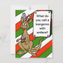 Search for kangaroo christmas cards Funny