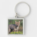 Search for chile key rings National park