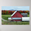 Search for dairy cow posters Cows