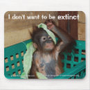 Search for extinction mousepads Wildlife