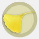 Search for gingko stickers Leaves