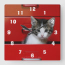 Search for peek a art Kitten