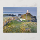 Search for lighthouse postcards Sand